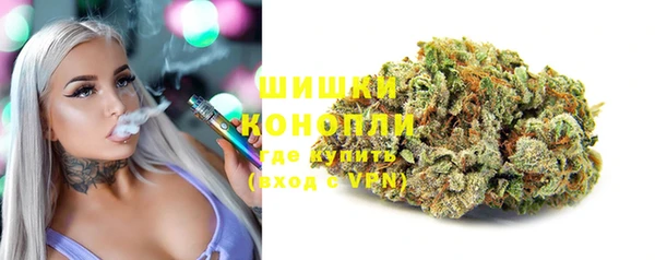 гидра Дмитровск