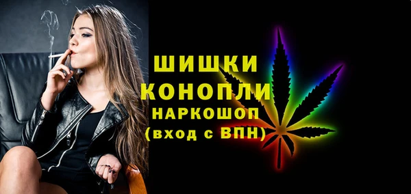 гидропоника Дмитриев