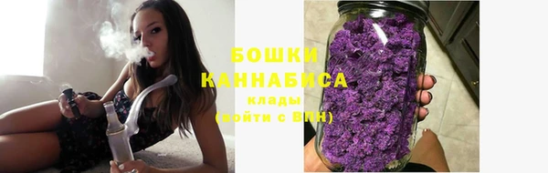 гидропоника Дмитриев