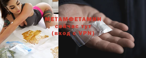 гидропоника Дмитриев