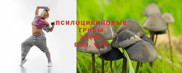 кокаин премиум Ельня