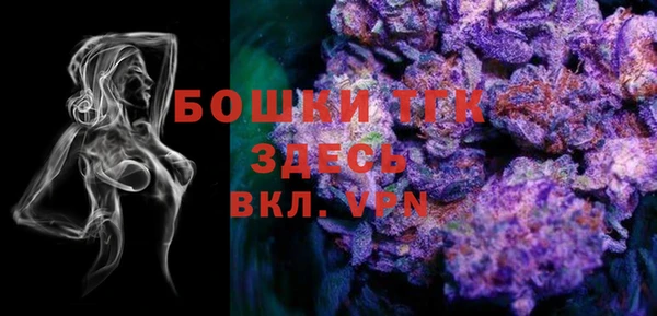 дмт Елабуга