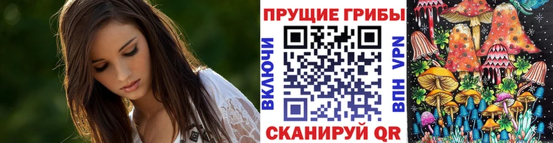 Псилоцибиновые грибы прущие грибы  дарк нет телеграм  Улан-Удэ  цены наркотик 