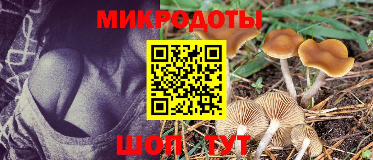 Псилоцибиновые грибы Psilocybe  Псилоцибиновые грибы мицелий  Улан-Удэ  Вход с VPN 